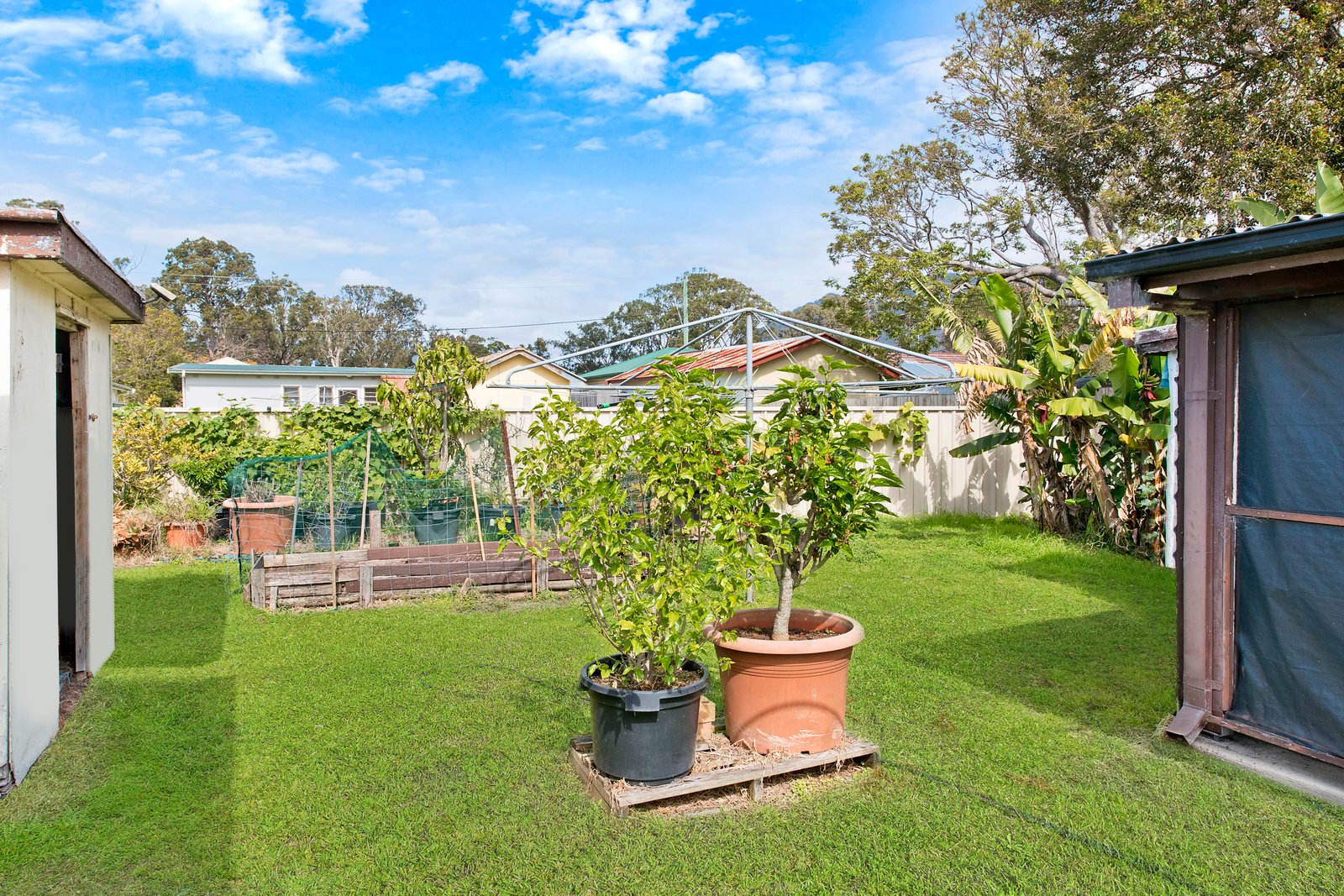 6 Alfred Street NORTH HAVEN 7