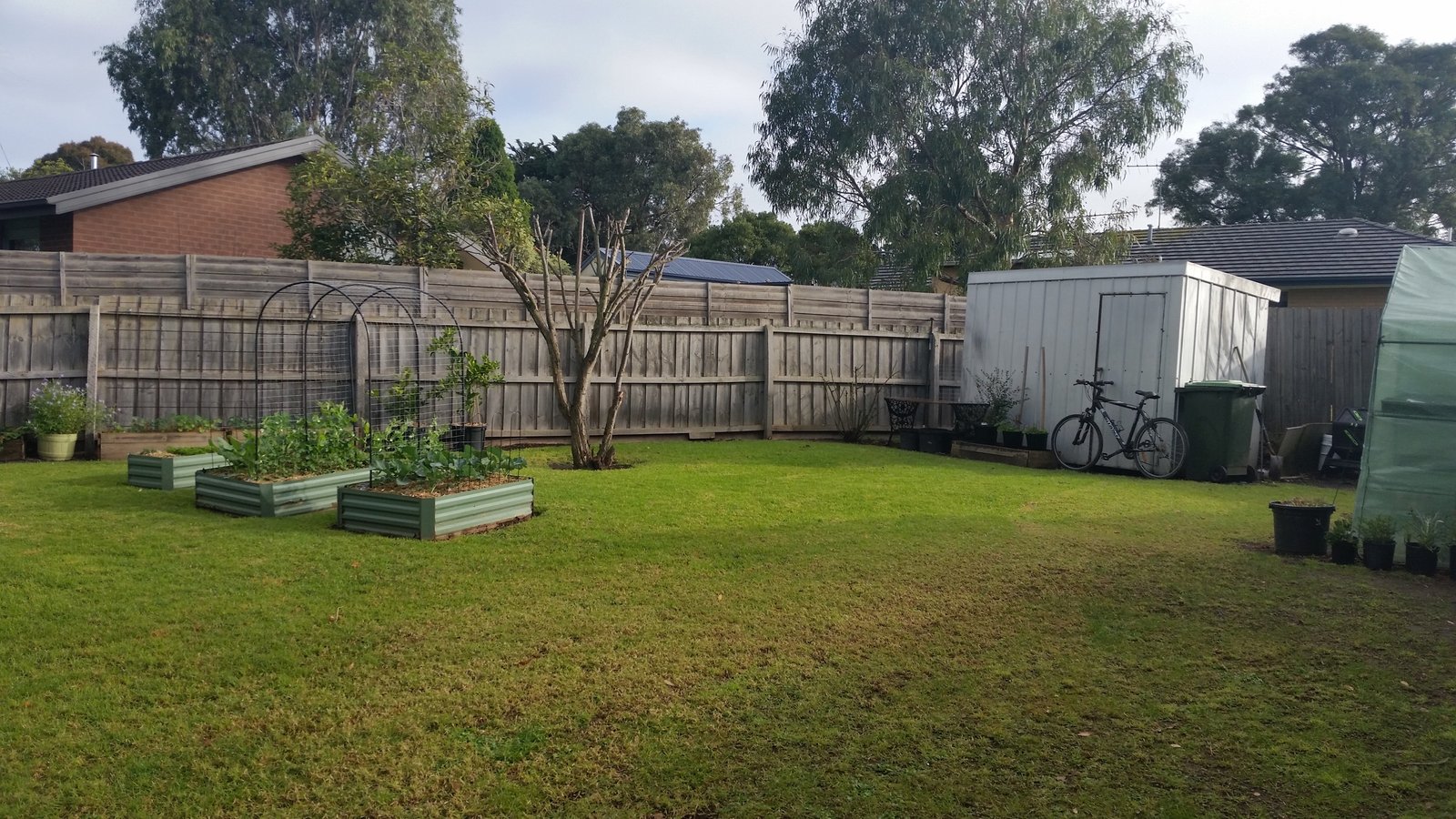 Gallery: 6 Apaloosa Court