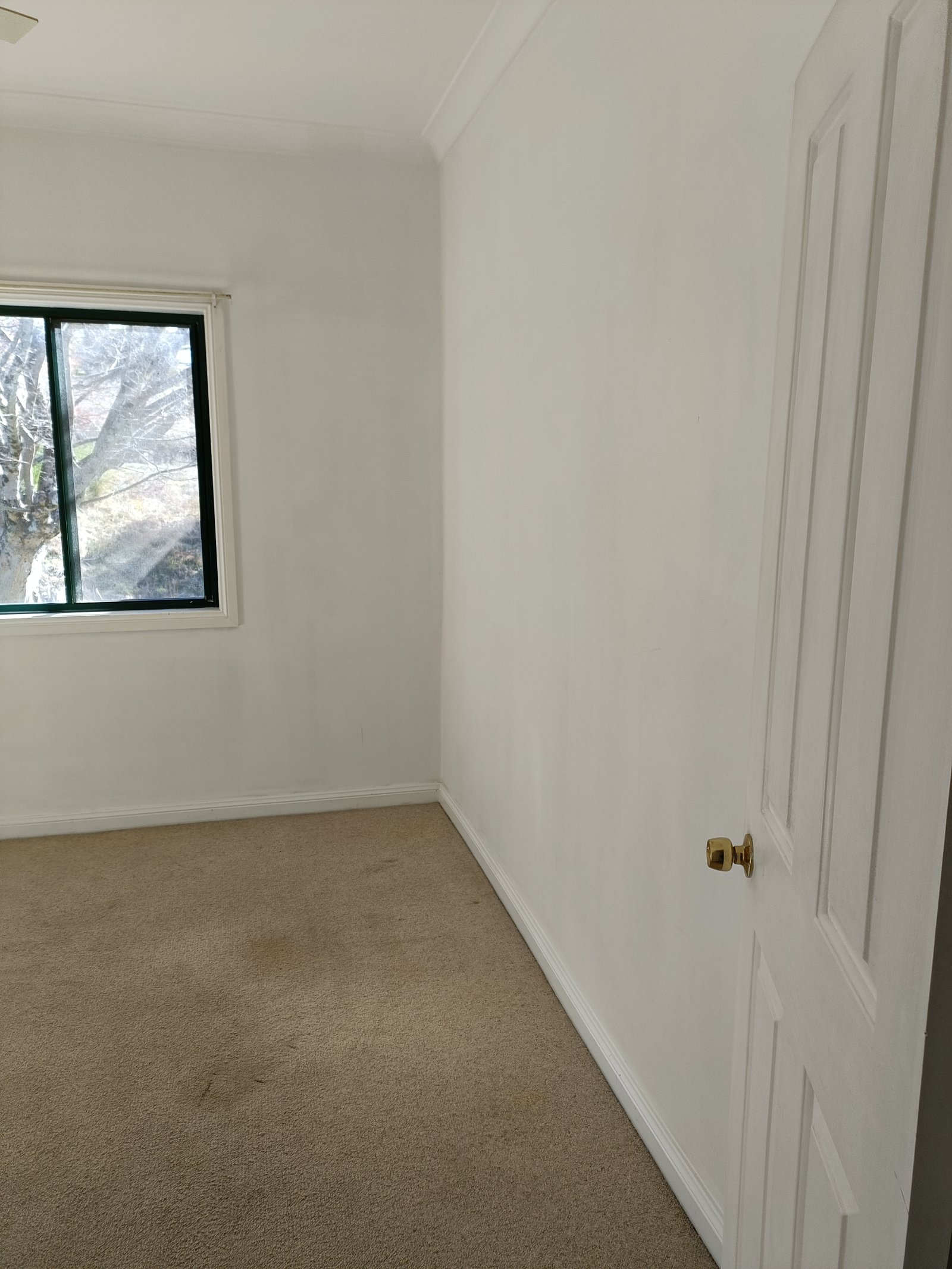 6 Batlow Avenue BATLOW 6