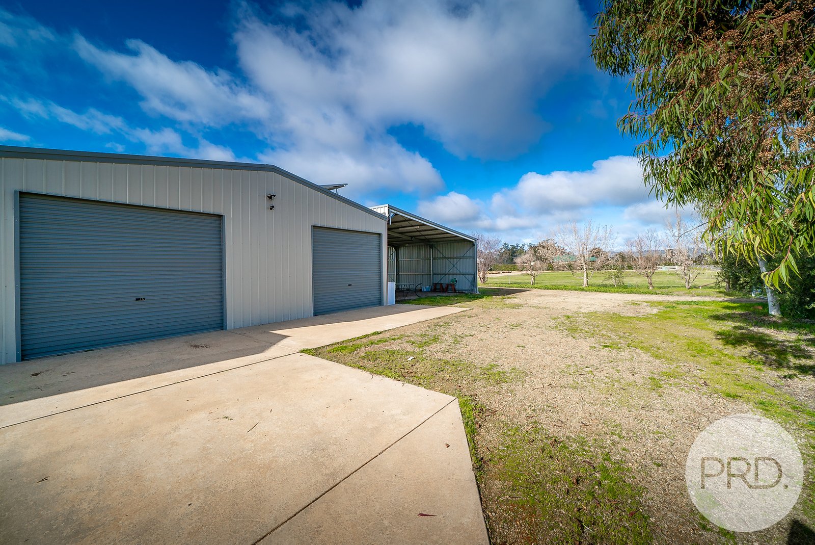 6 Bell Gum Place LAKE ALBERT 4