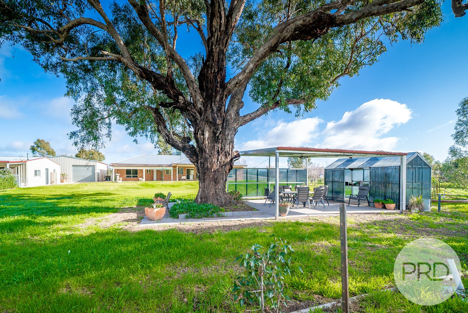 6 Bell Gum Place LAKE ALBERT 20