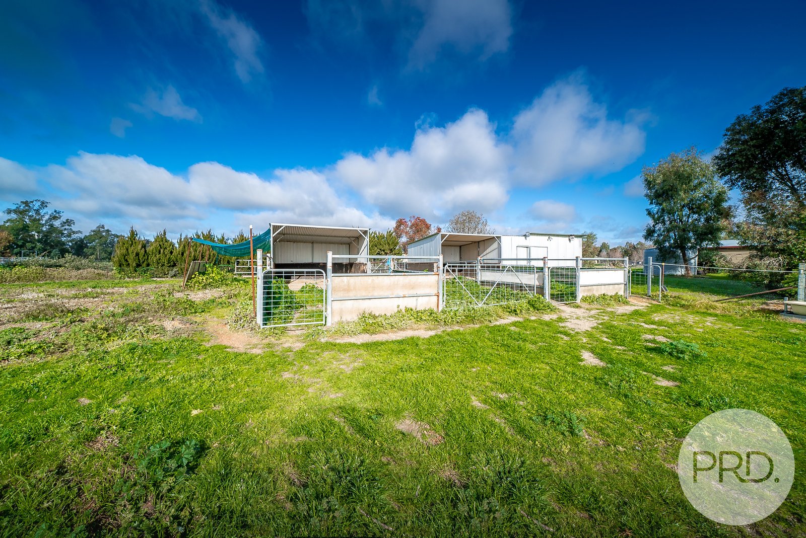 6 Bell Gum Place LAKE ALBERT 24