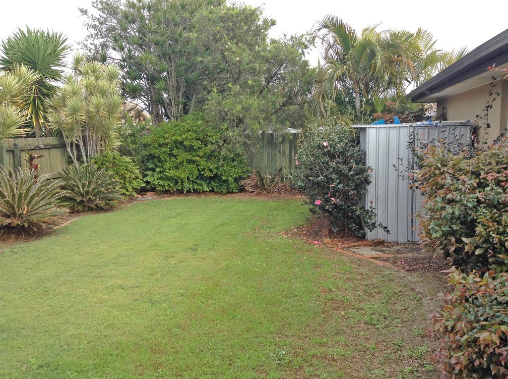 6 Bergamont Street ELANORA 11