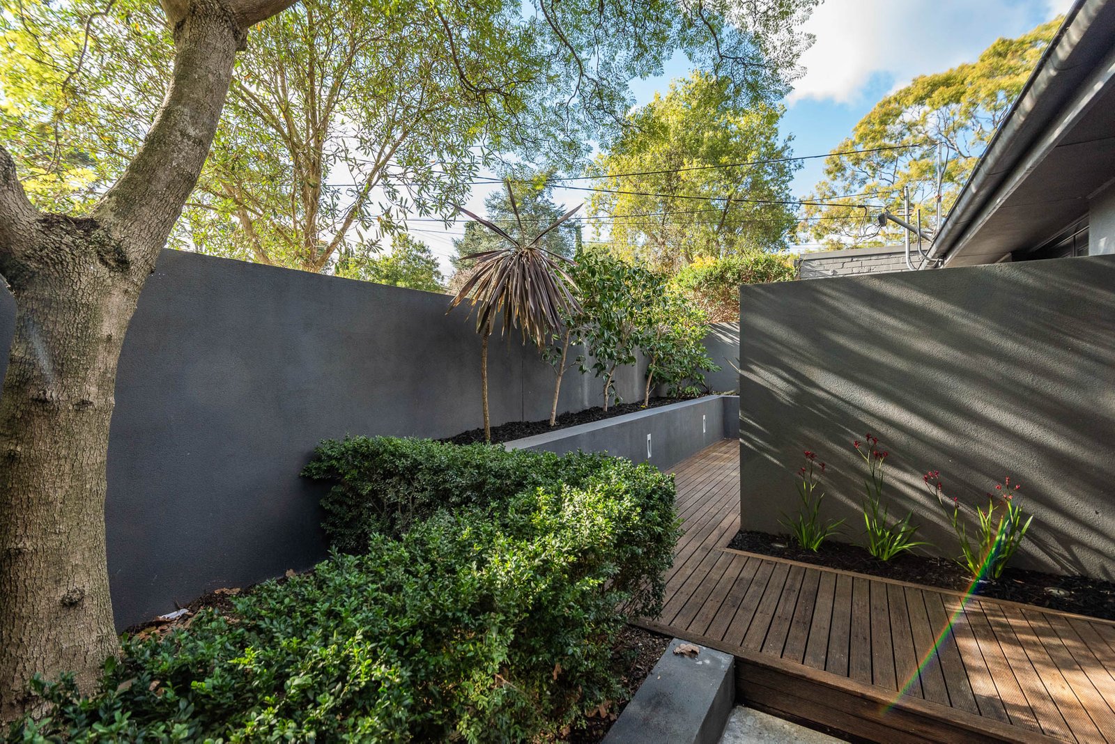 Gallery: 6 Beverley Street