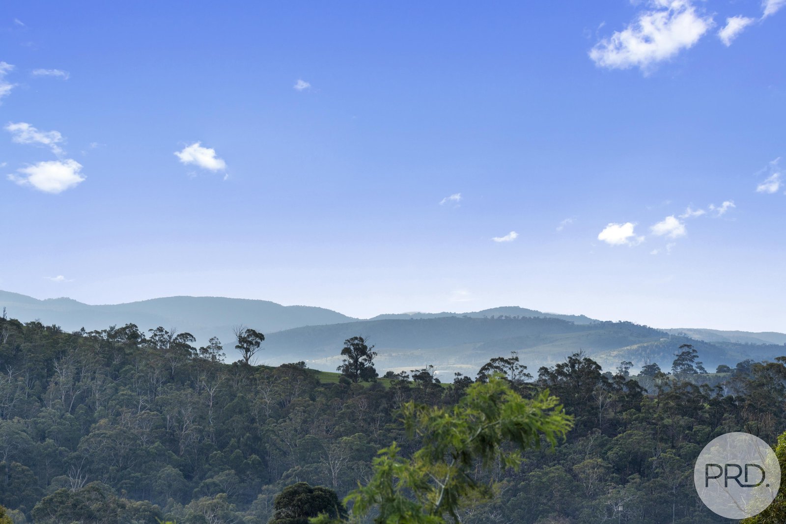 6 Blackwell Court CLAREMONT 5