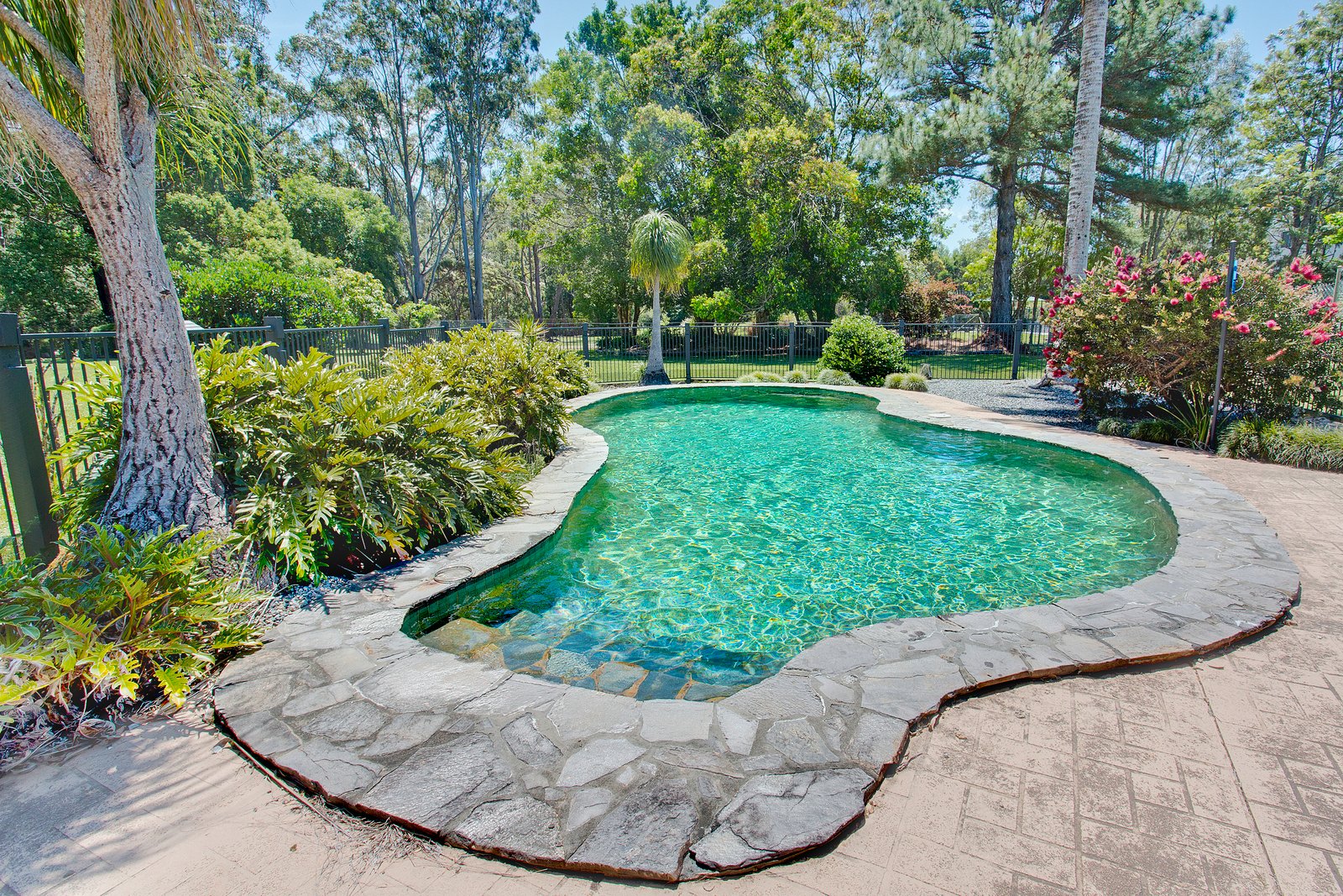 6 Blue Gum Place KEW 2