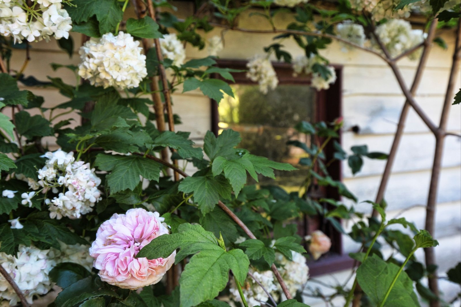 Real Estate and Property in 6 Buckland Street, Woodend, VIC