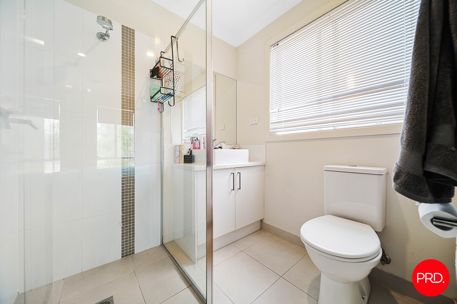 6 Bursaria Street JACKASS FLAT 7