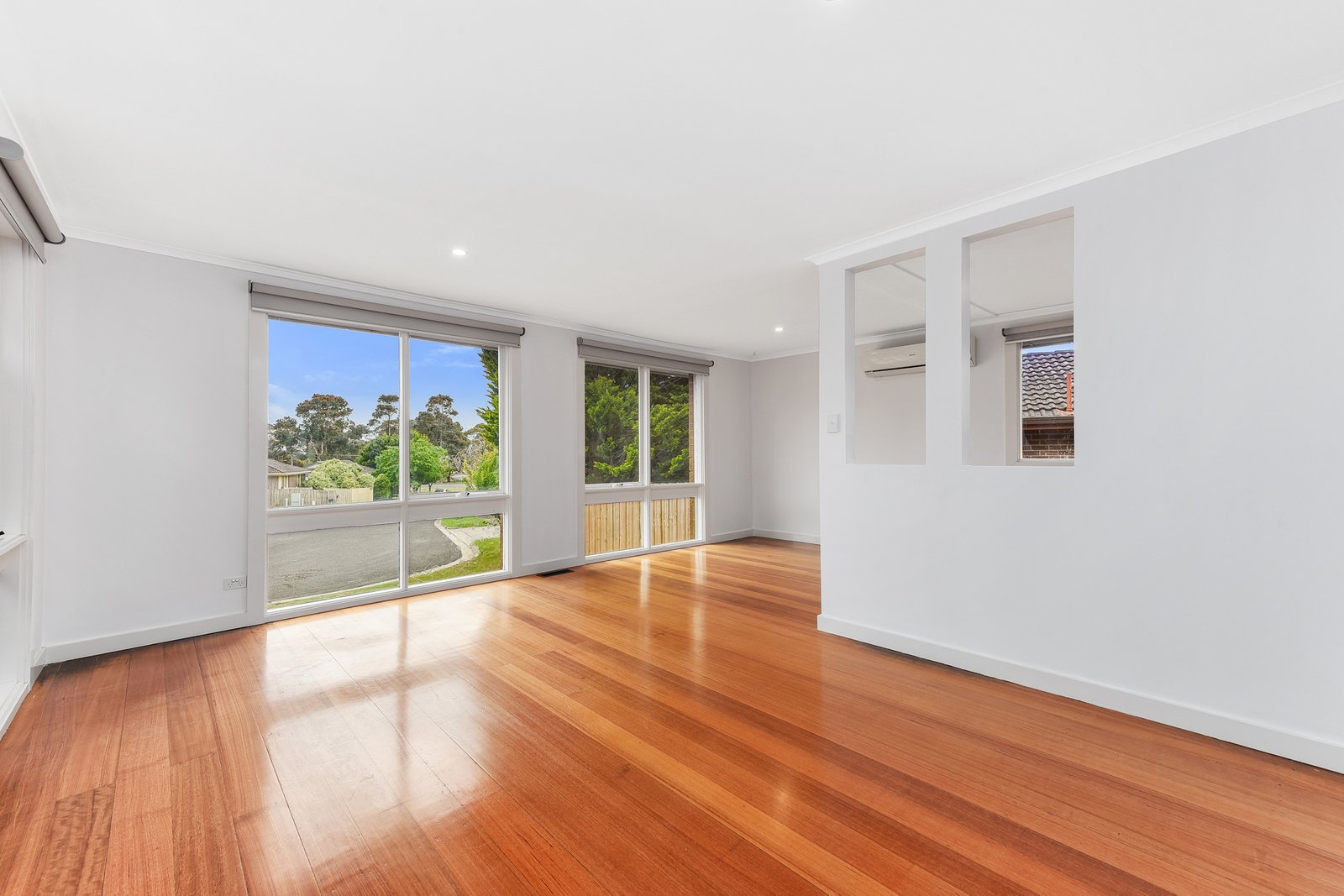 Gallery: 6 Carter Court