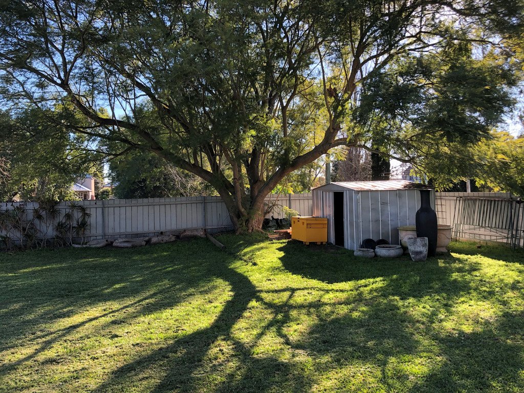 6 Cathcart Street MAITLAND 6