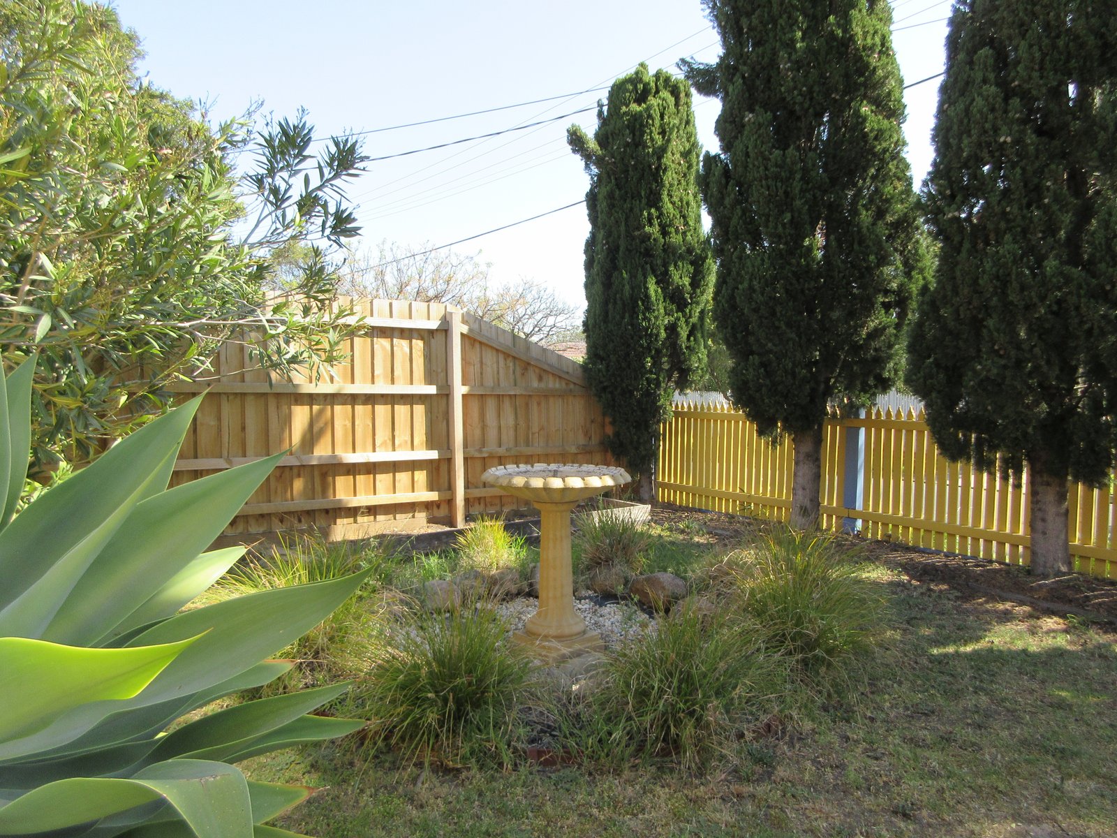 Gallery: 6 Clements Street