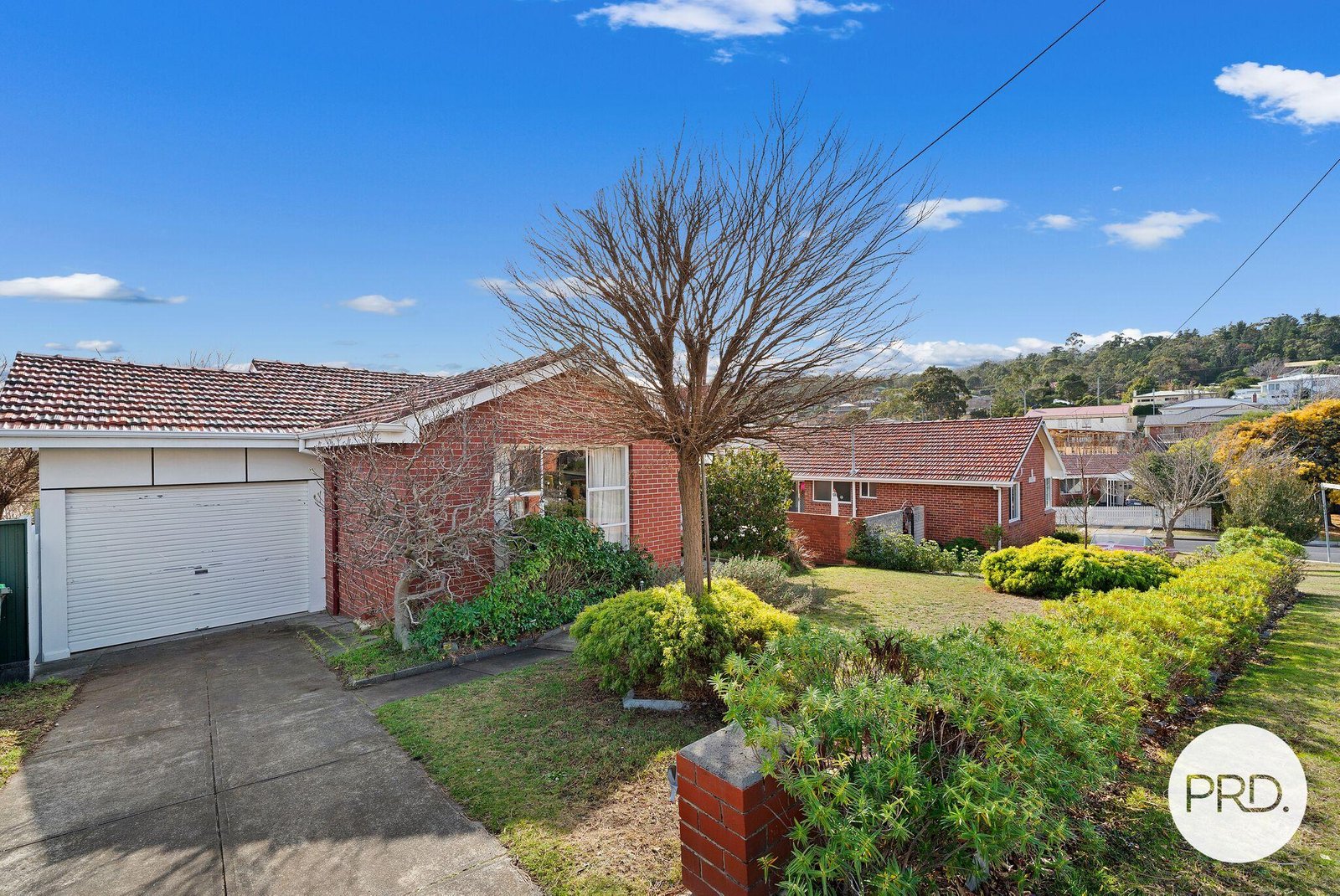 6 Coolangatta Street LINDISFARNE 3