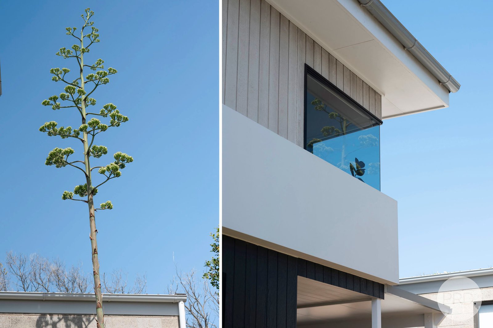 6 Coryule Street BOAT HARBOUR 18