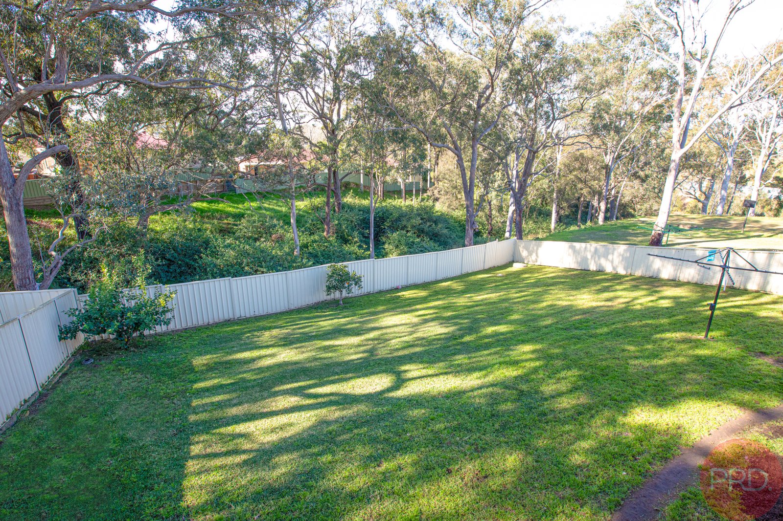 6 Dumont Close RUTHERFORD 15