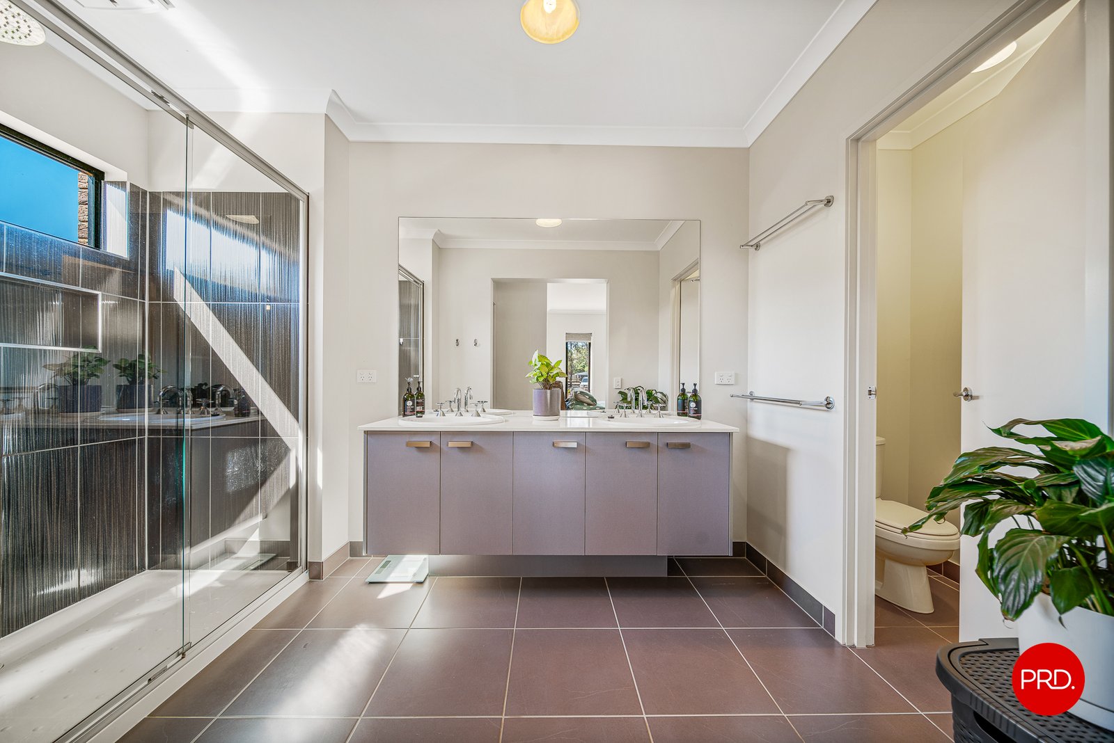 6 Eddington Street AXEDALE 11