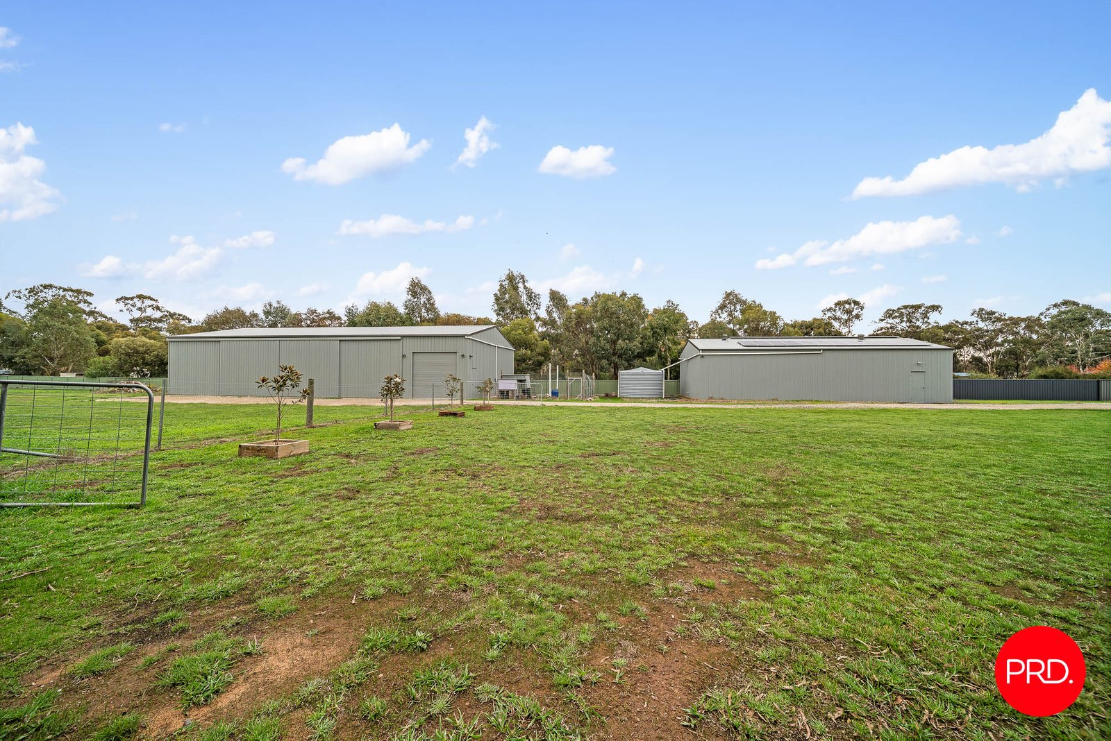 6 Eddington Street AXEDALE 31