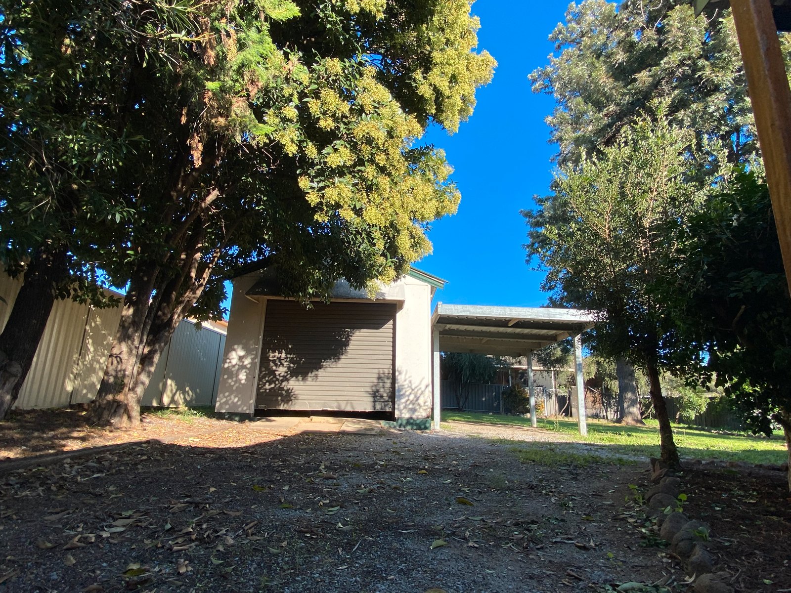 6 Edward Street TAMWORTH 7