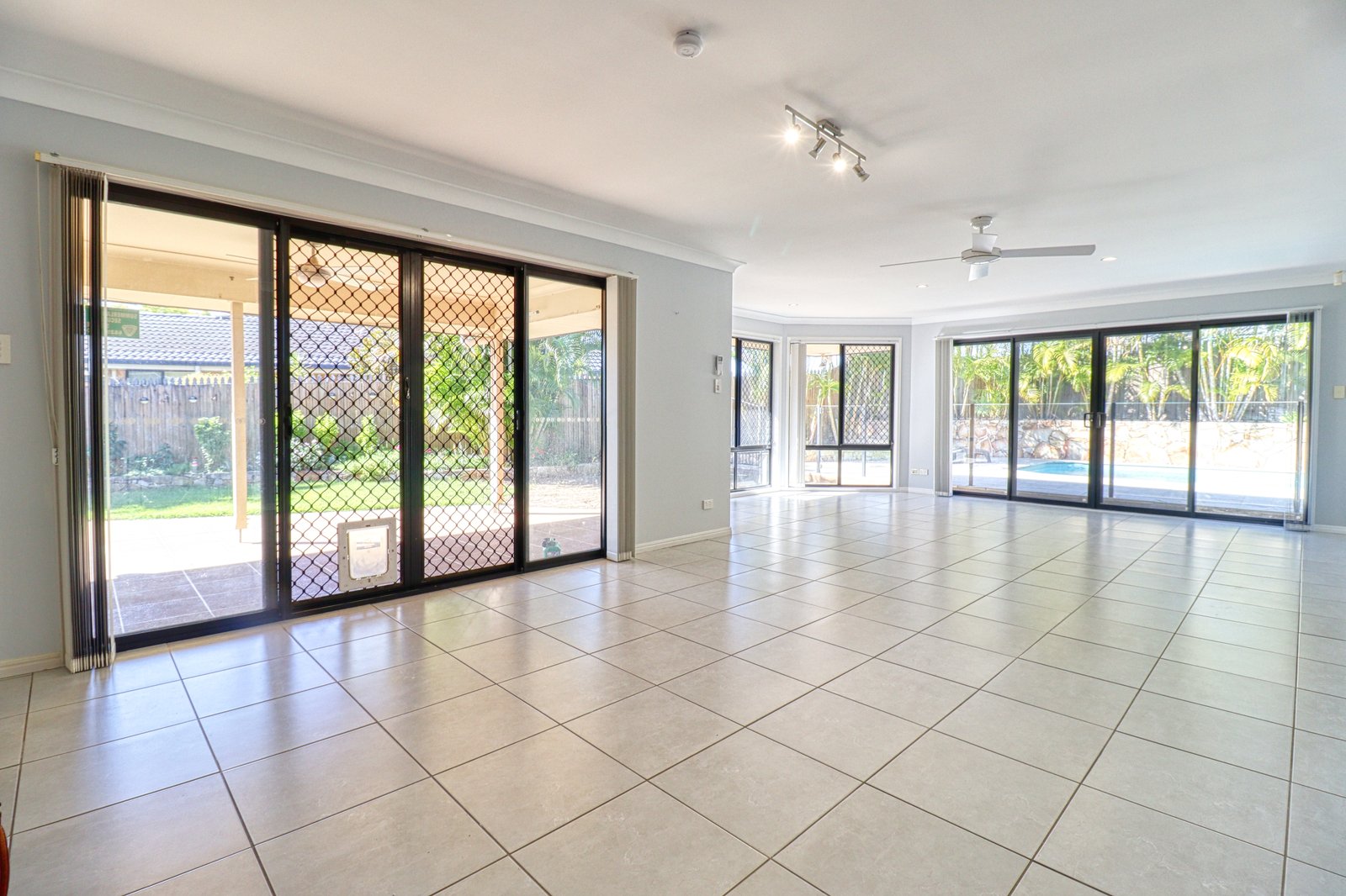 6 Eileen Place CASINO 6