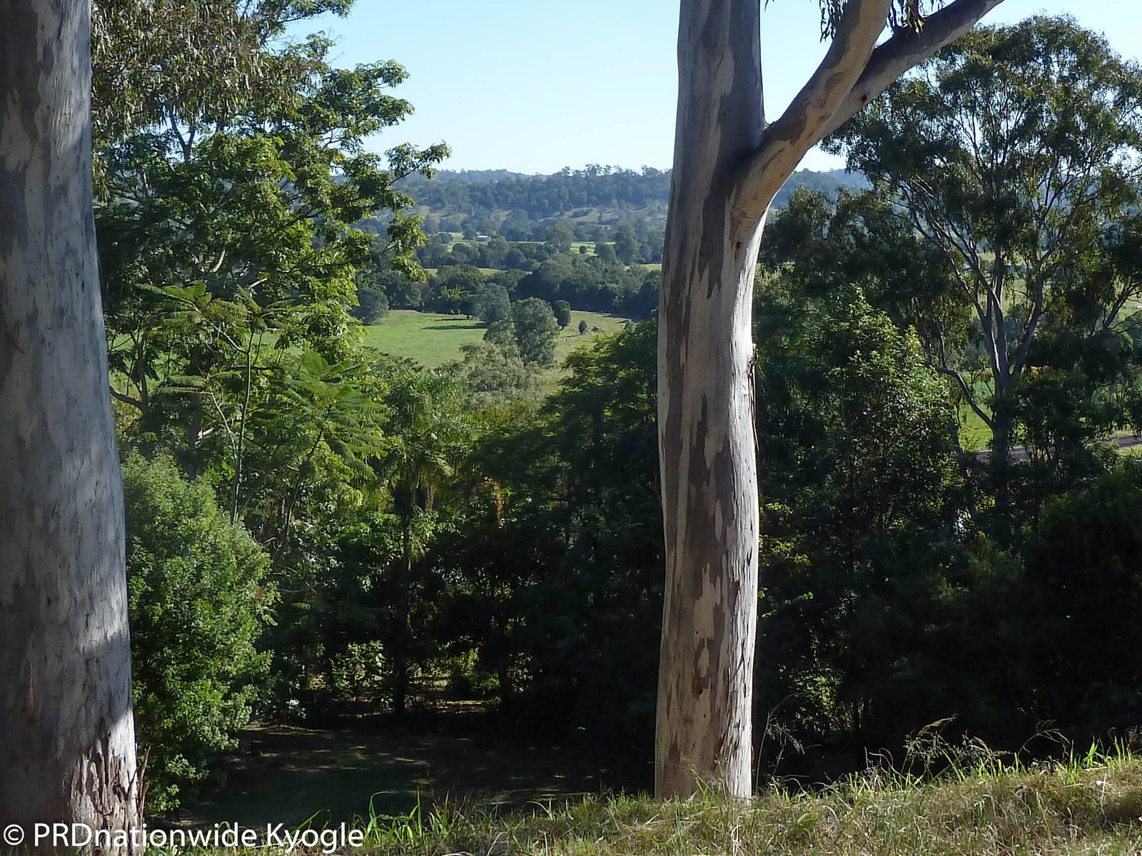 6 Fairy Street KYOGLE 2