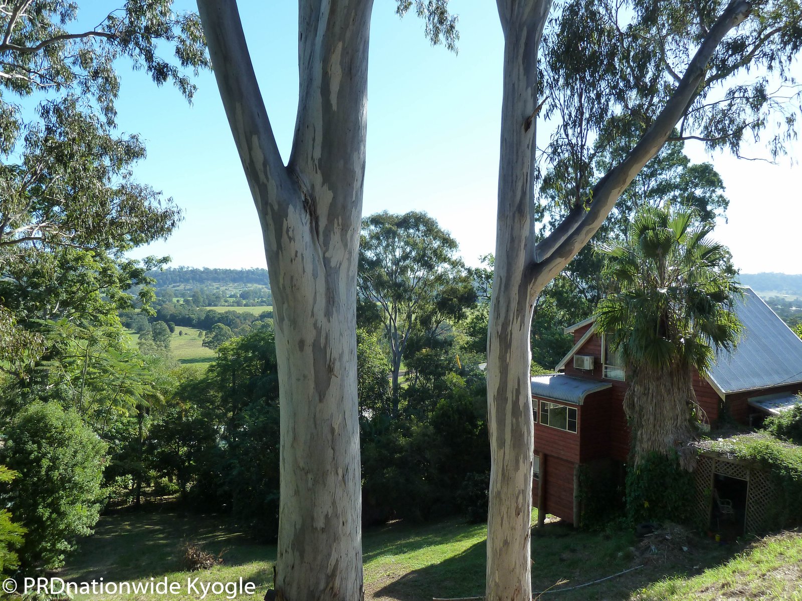 6 Fairy Street KYOGLE 3