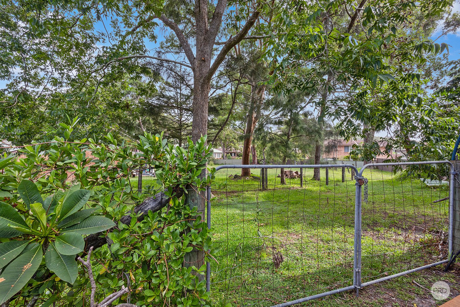 6 Garden Place SHOAL BAY 32