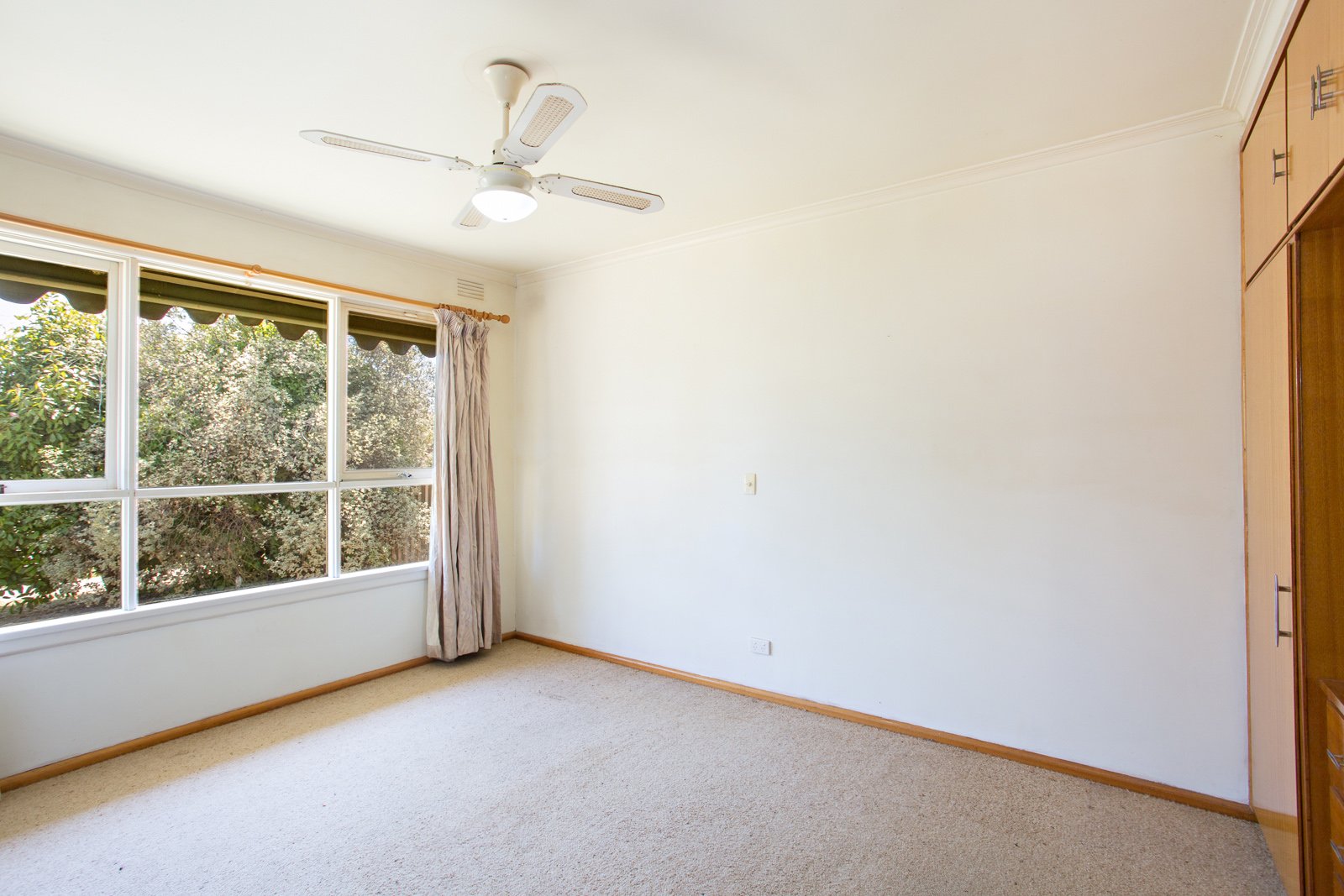 Gallery: 6 Halbert Street