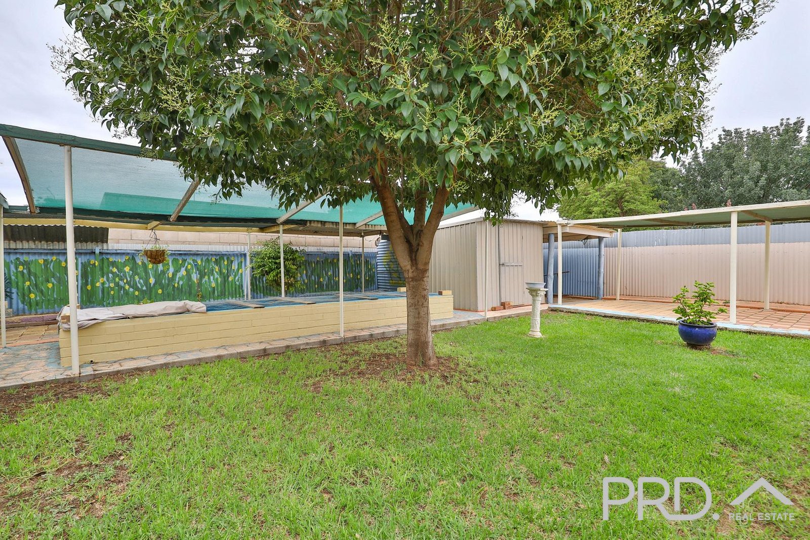 6 Hornsey Park MILDURA 19