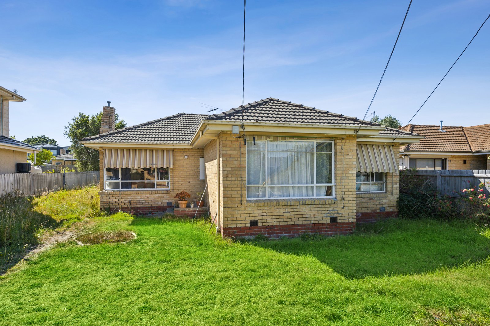 Gallery: 6 Huon Grove