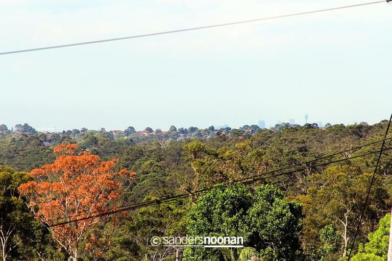 6 Illawong Street LUGARNO 8
