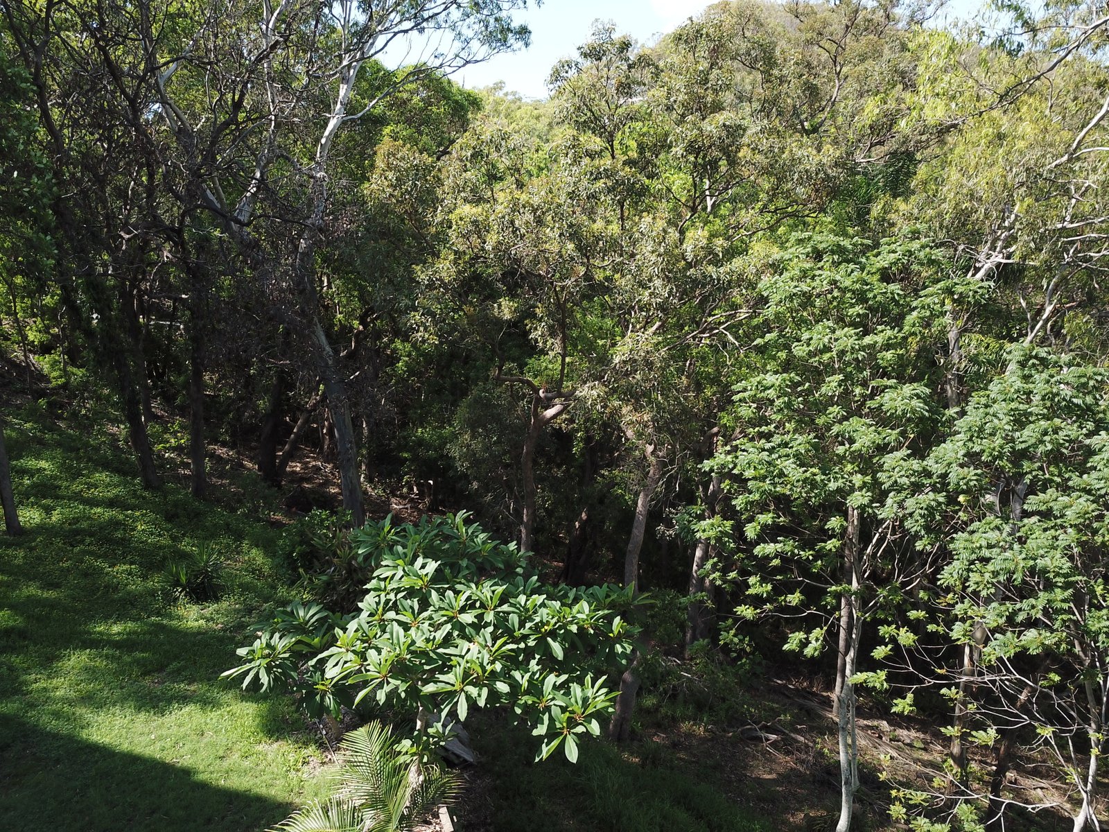 6 James Street CURRUMBIN 8