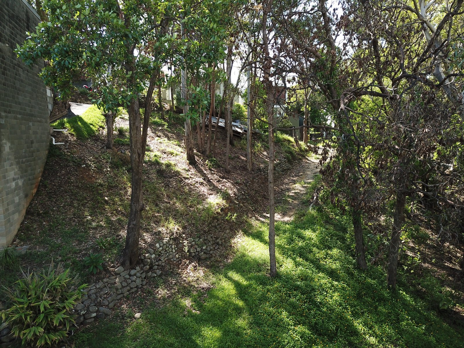 6 James Street CURRUMBIN 9