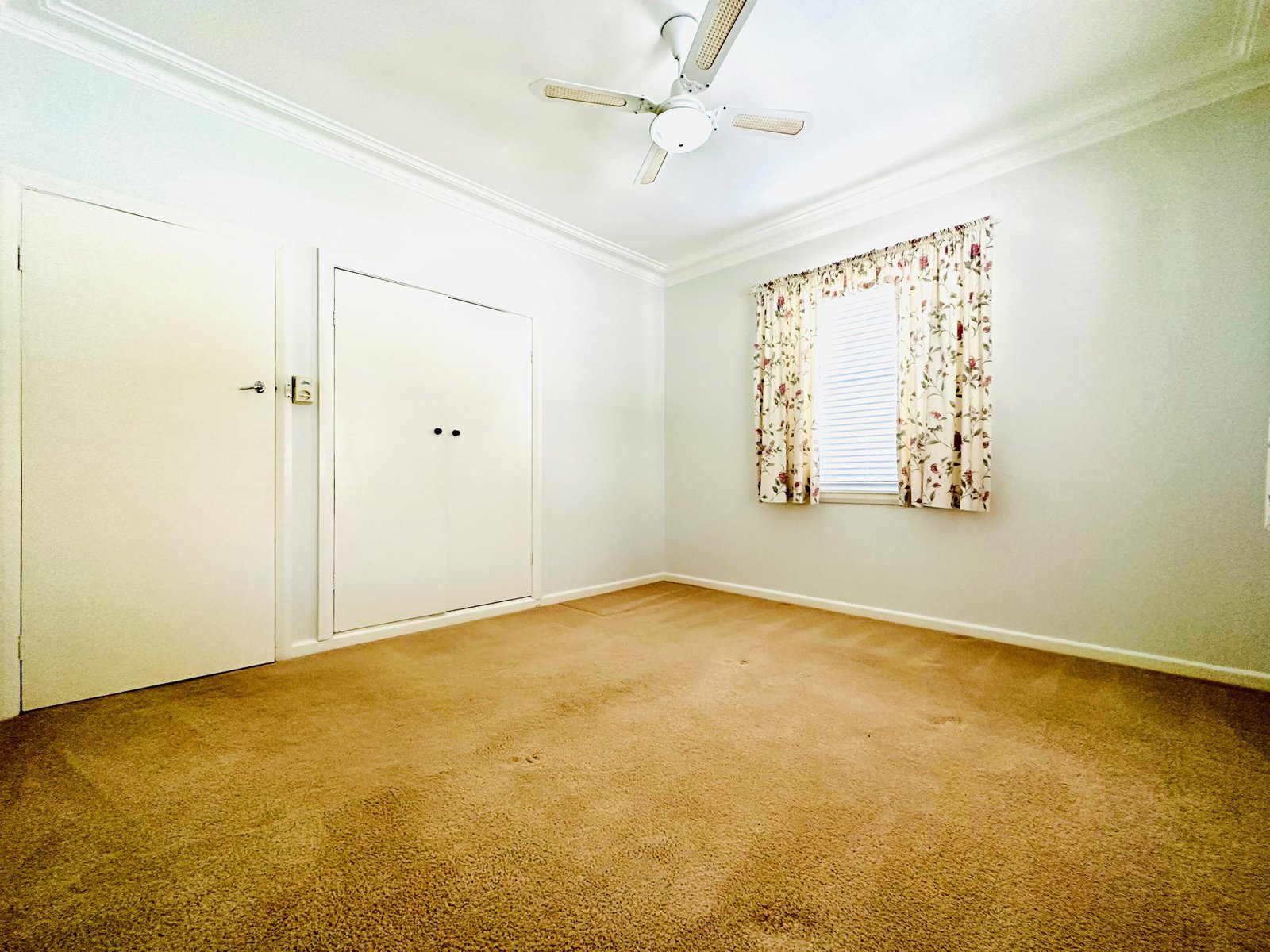 6 Jean Street TAMWORTH 11