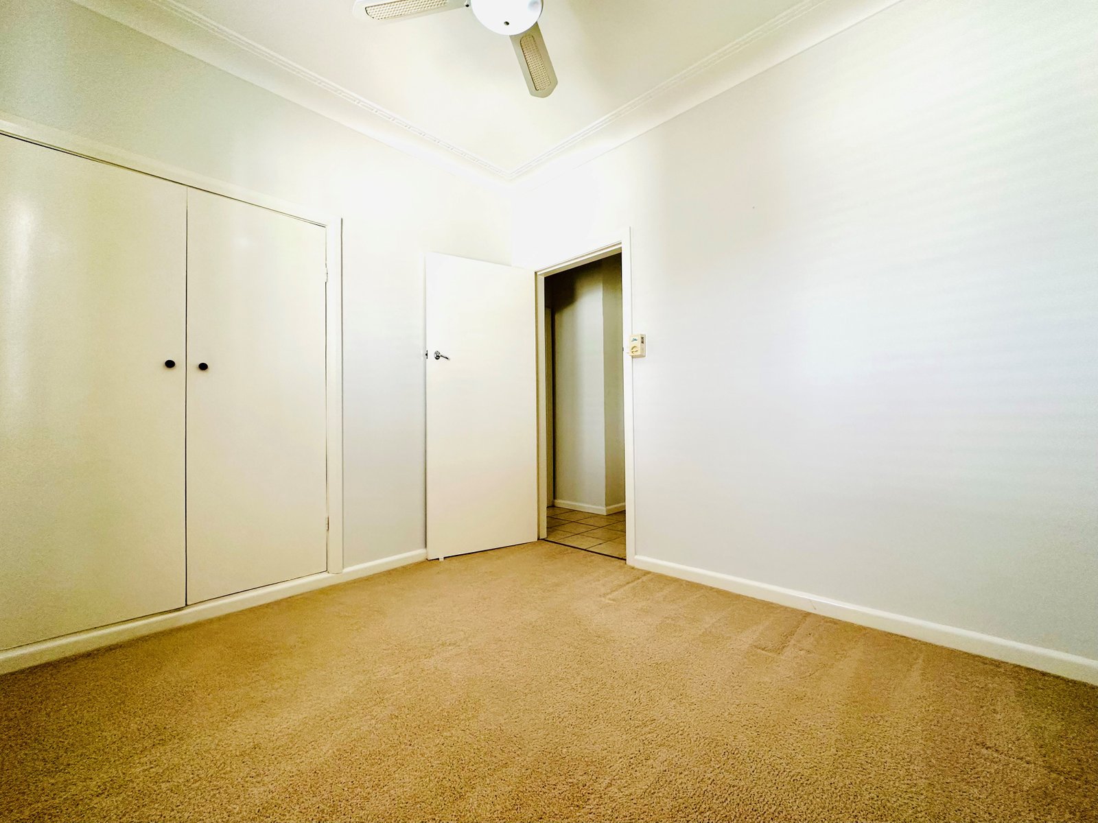 6 Jean Street TAMWORTH 12