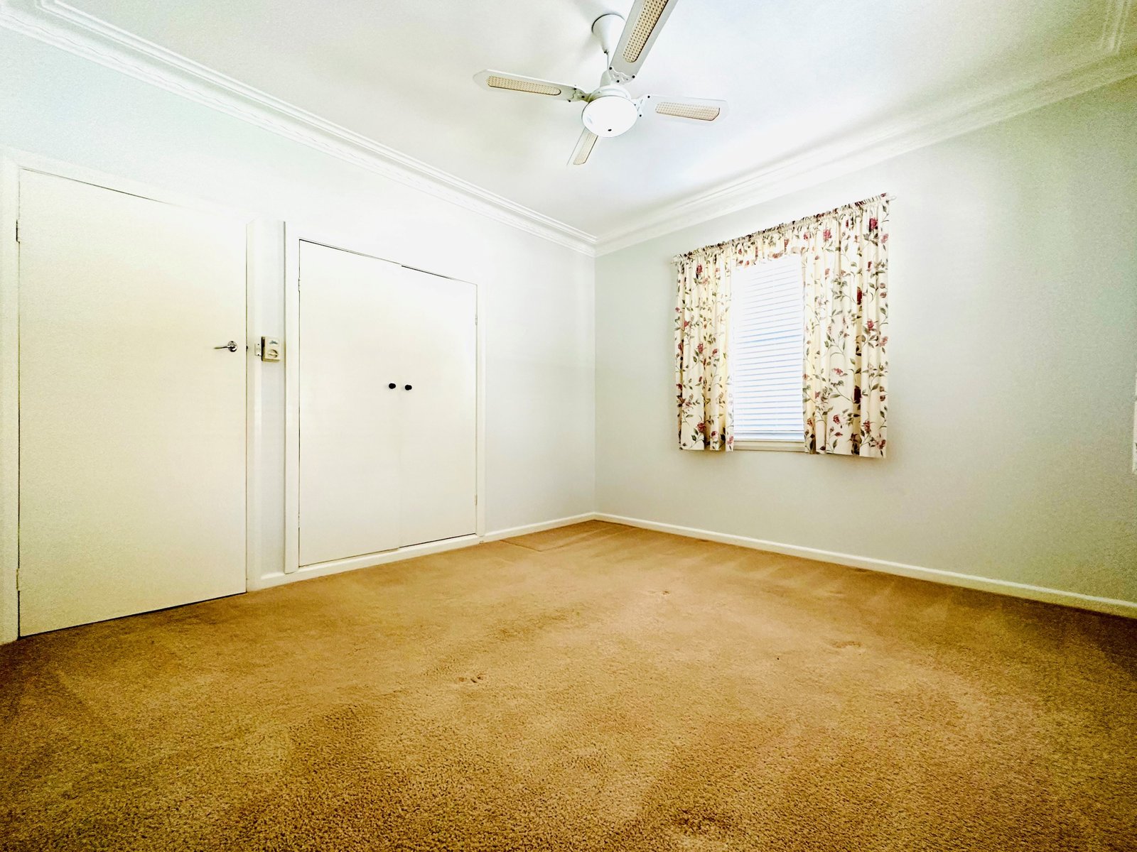 6 Jean Street TAMWORTH 11