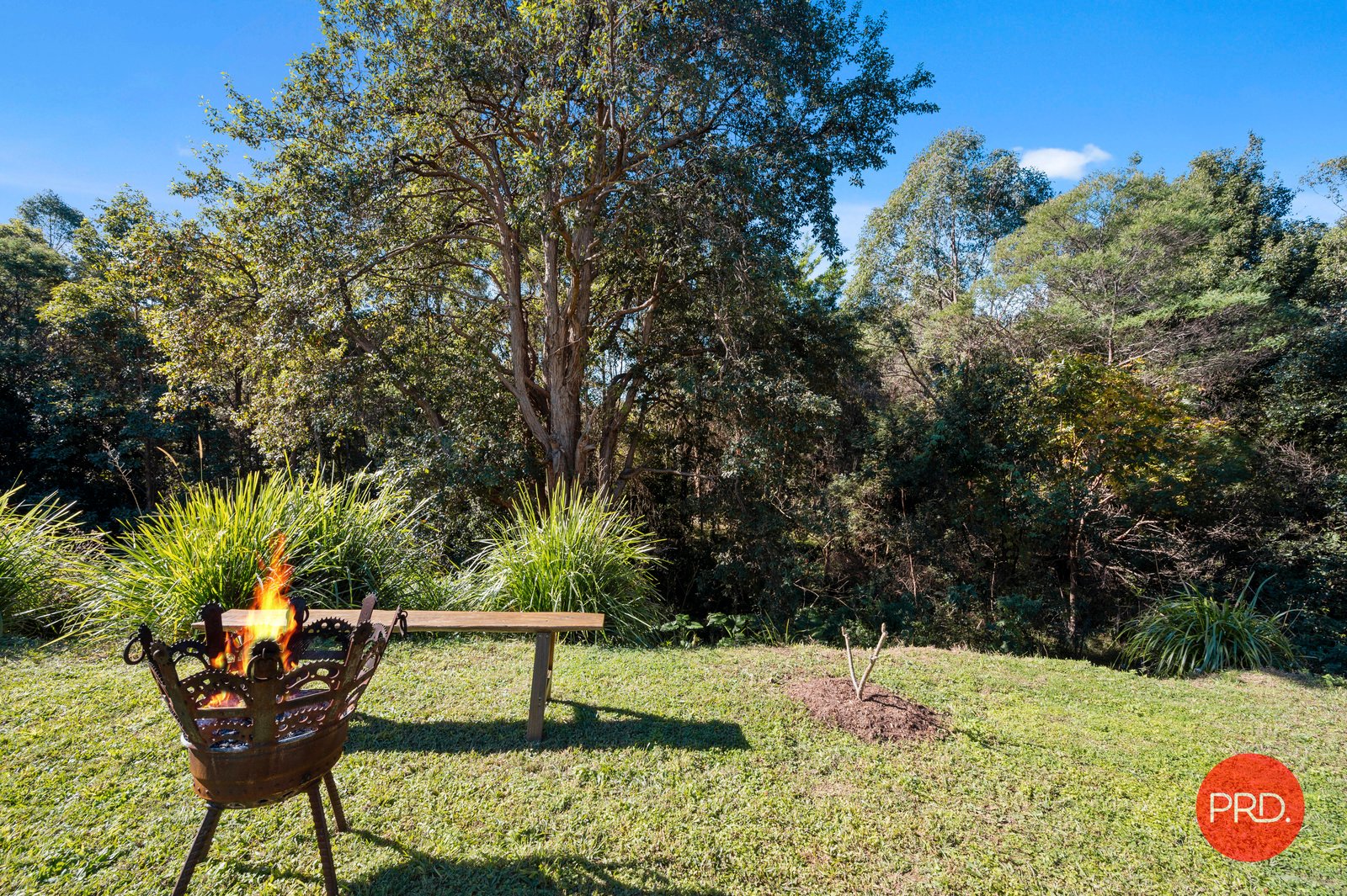 6 Knoll Place COFFS HARBOUR 20