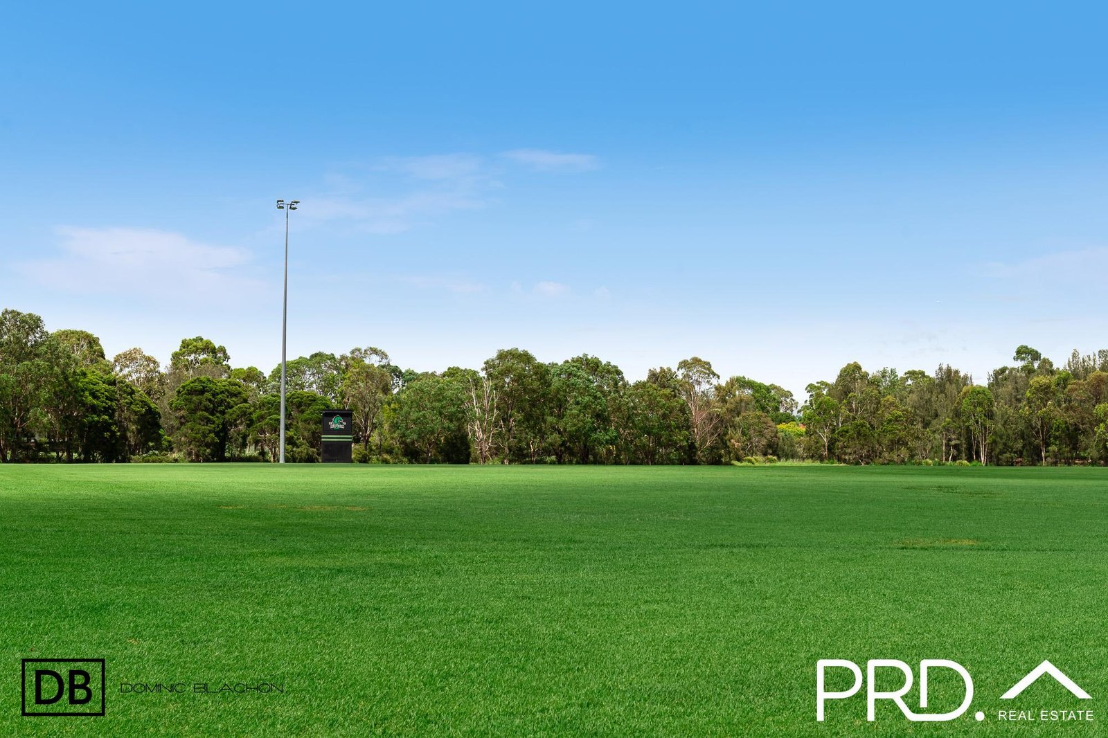 6 Lawson Street PANANIA 10