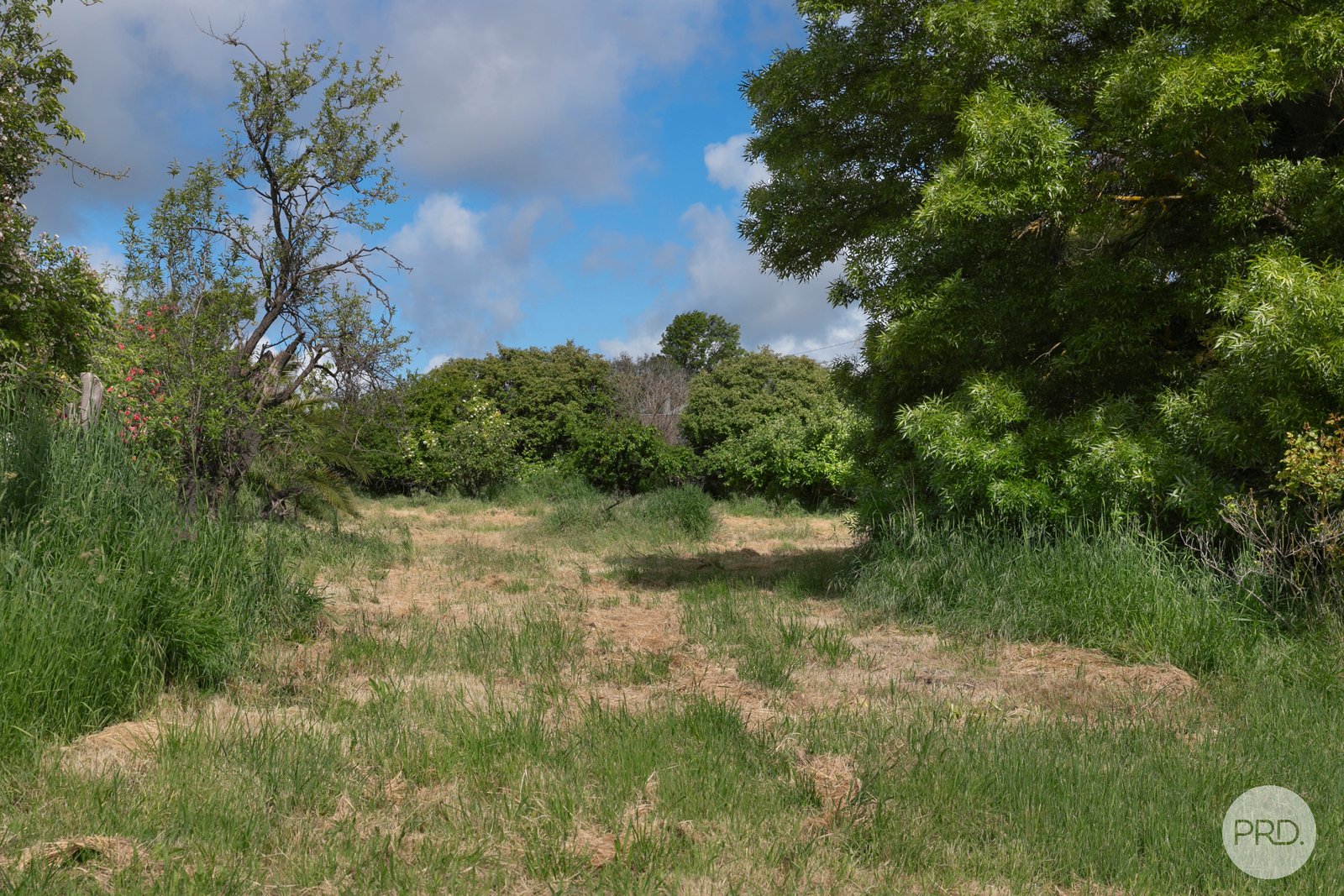 6 MacDonald Street CLUNES 1