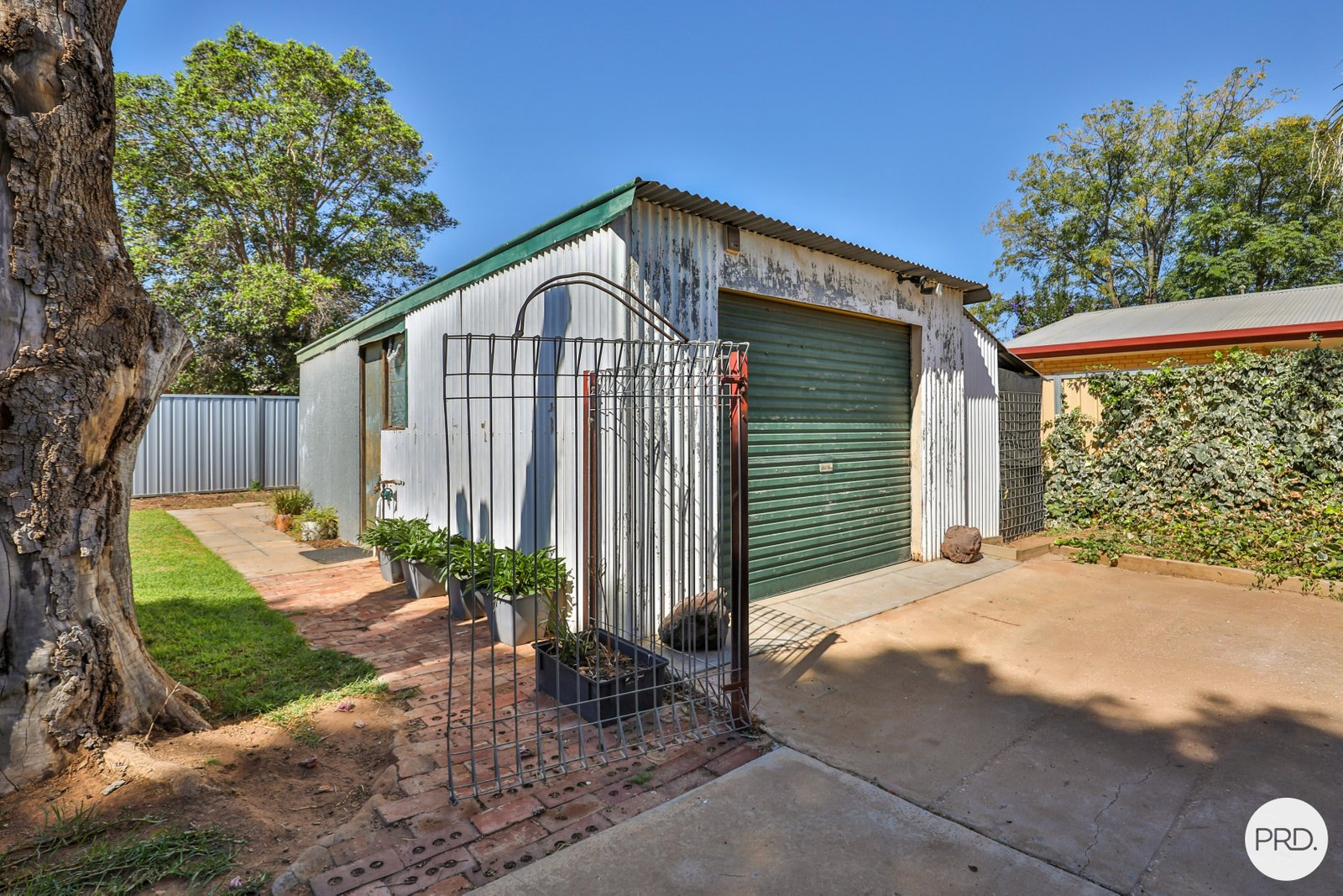 6 Mary Avenue MILDURA 14