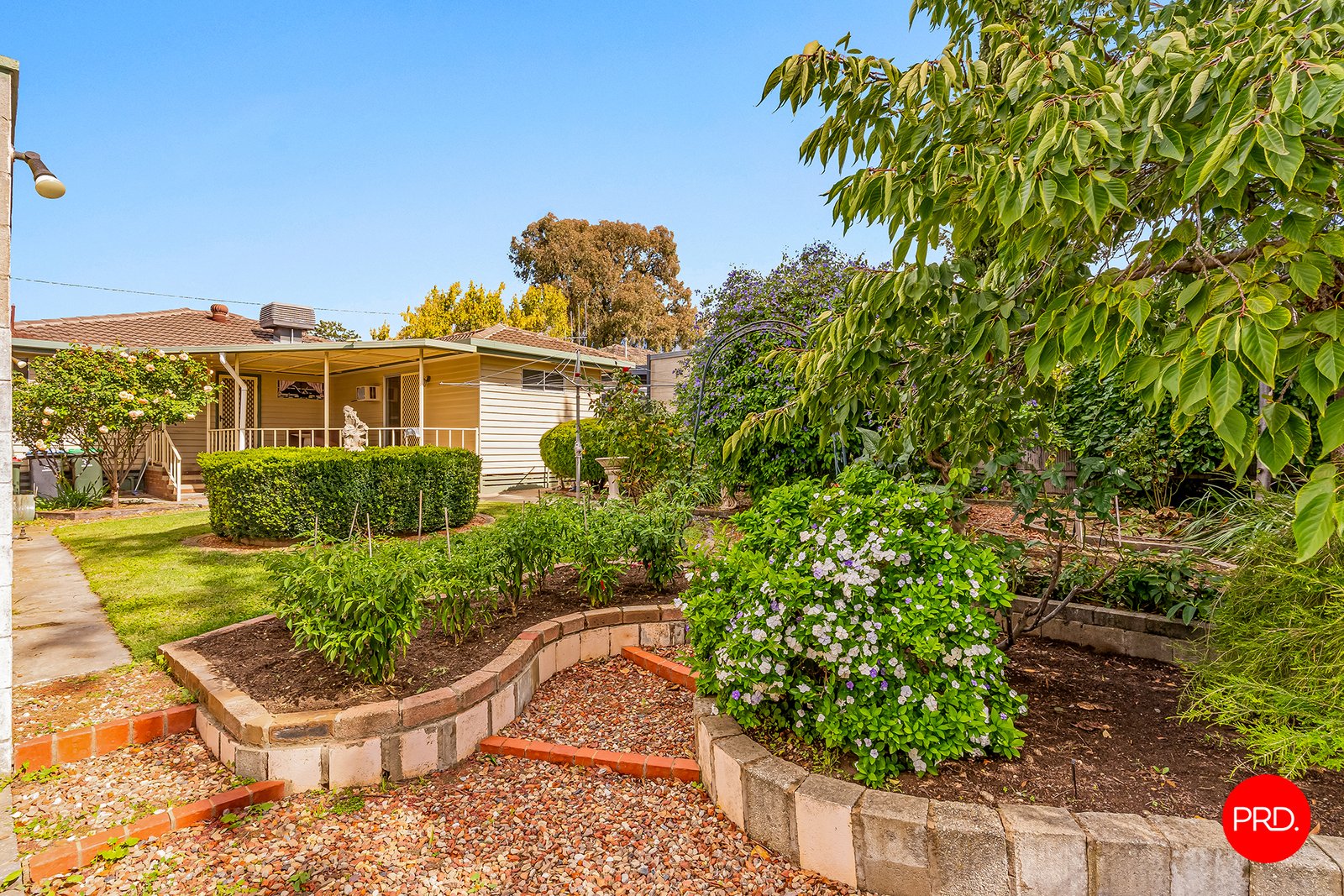 6 Mathrick St  CALIFORNIA GULLY 14