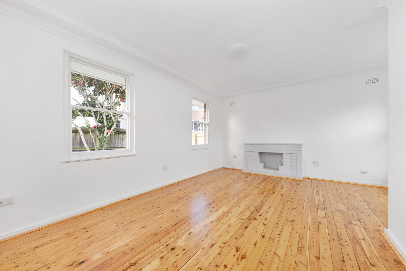 6 Maxwell Road PAGEWOOD 2