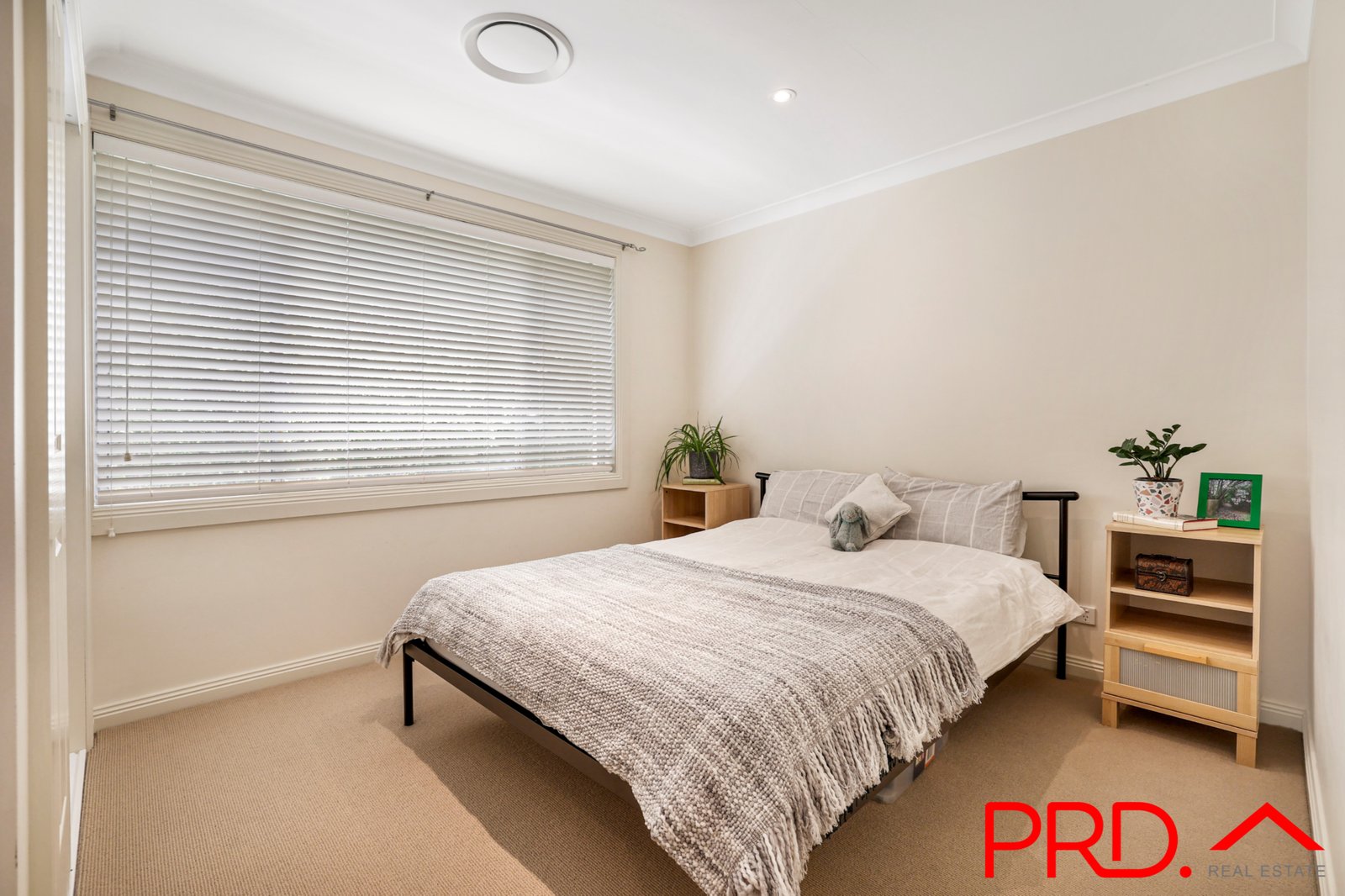 6 Mirrool Street TAMWORTH 13