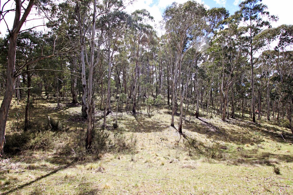 6 Moody's Hill Road TUMBARUMBA 7