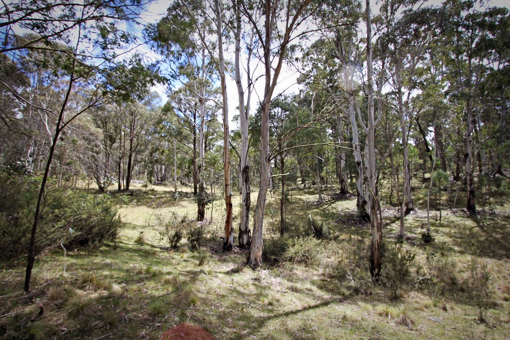 6 Moody's Hill Road TUMBARUMBA 8