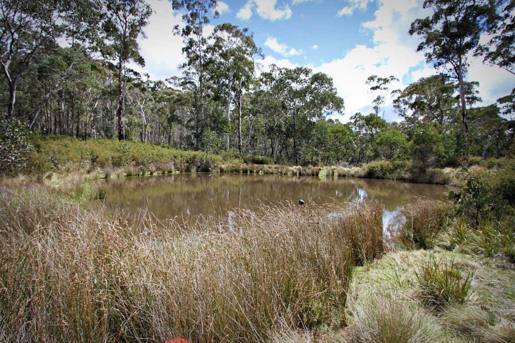 6 Moody's Hill Road TUMBARUMBA 9