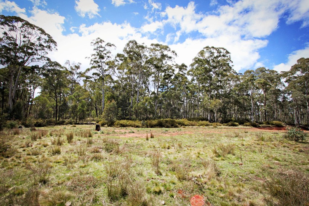 6 Moody's Hill Road TUMBARUMBA 12