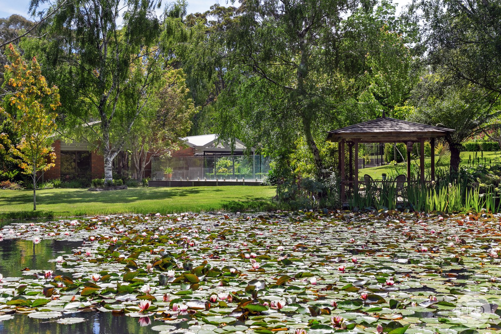 6 Mount Helen Drive MOUNT HELEN 26