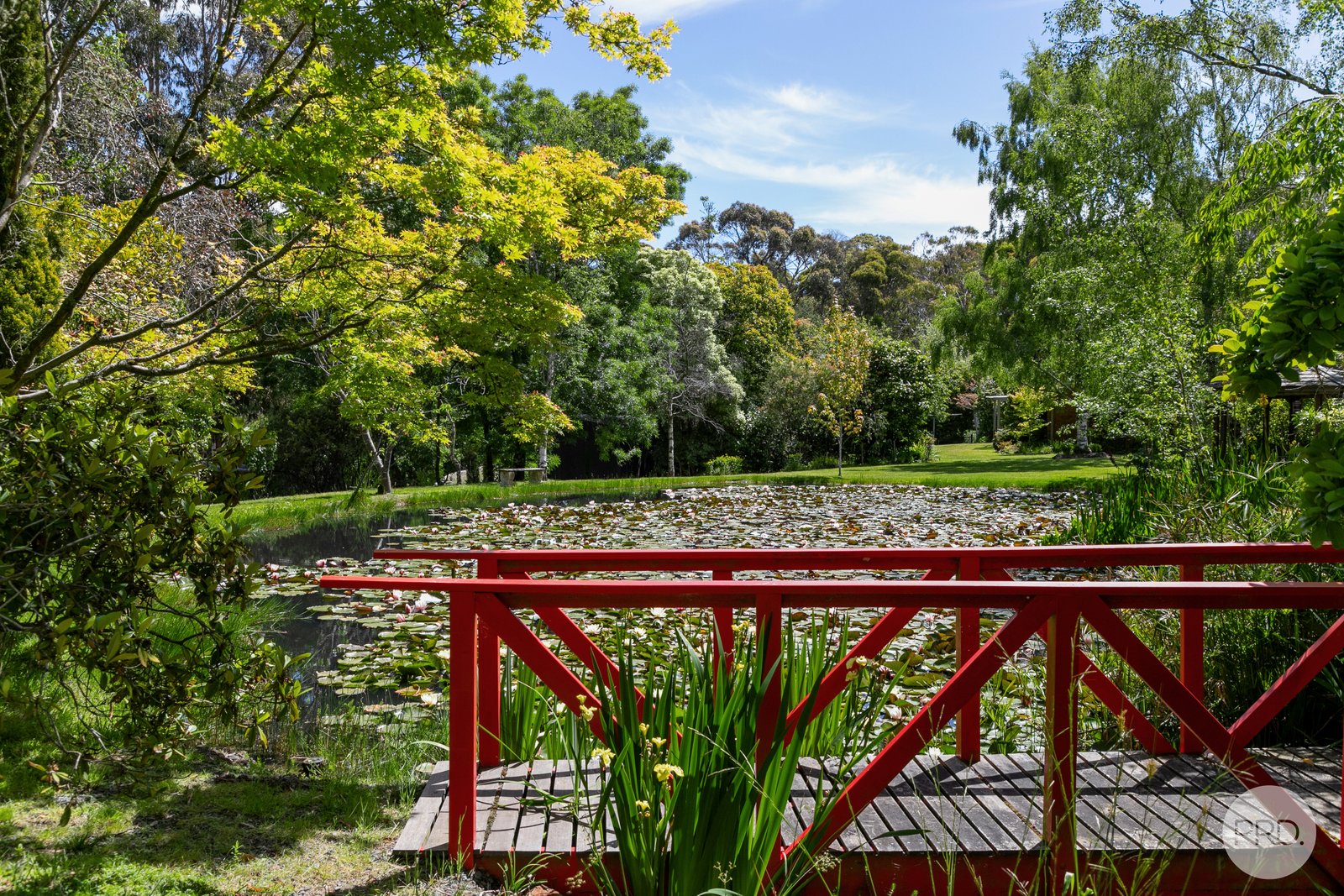 6 Mount Helen Drive MOUNT HELEN 27