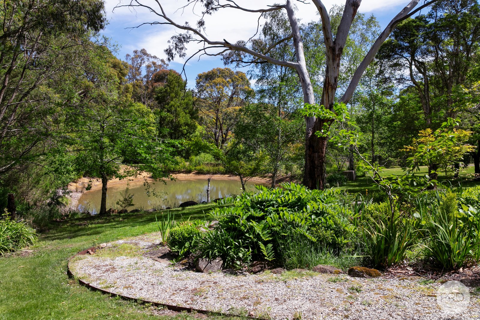 6 Mount Helen Drive MOUNT HELEN 31