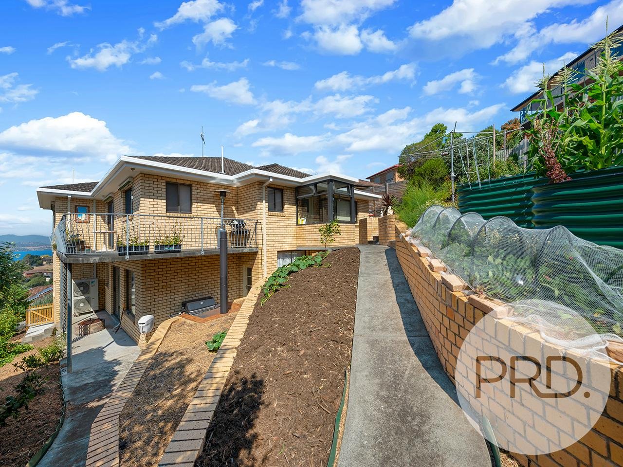 6 Nathan Street BERRIEDALE 11