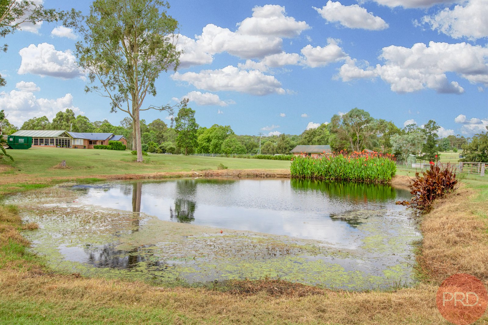 6 Nottage Hill Close BRANXTON 31